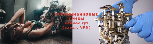 мет Абаза
