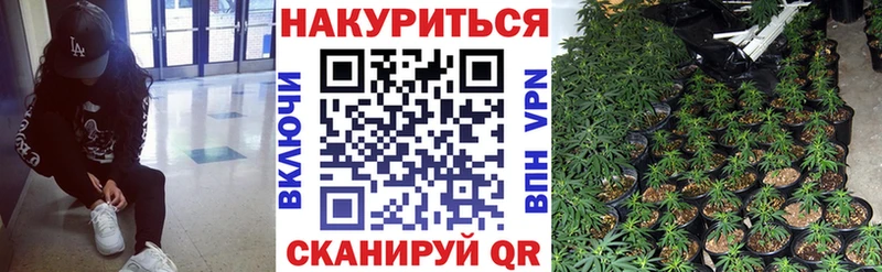 Конопля ГИДРОПОН  Остров 